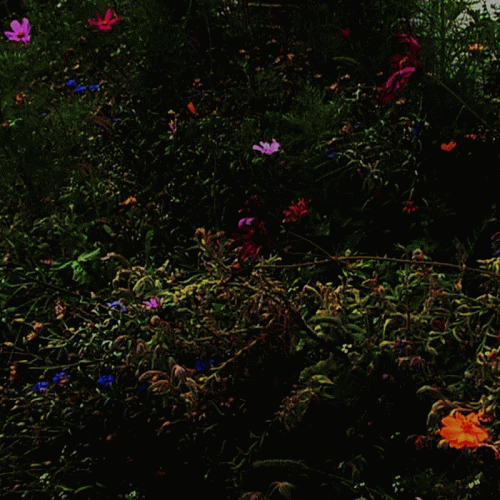 Existe : Vivre et laisser mourir Existe : Vivre et laisser mourir